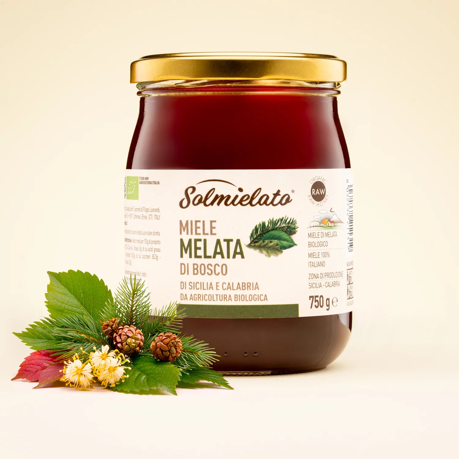barattolo di miele di melata da 750g