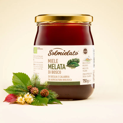 barattolo di miele di melata da 750g