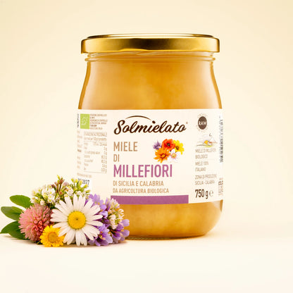barattolo di miele di millefiori da 750g